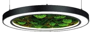 Moss LED Aydınlatma Naturel Simit