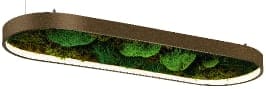 Moss LED Aydınlatma GZ8209-A1-NT
