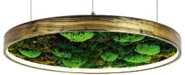 Moss LED Aydınlatma GZ8205-A1-NT