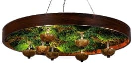 Moss LED Aydınlatma Mantar Naturel