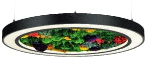 Moss LED Aydınlatma Liken Simit