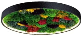 Moss LED Aydınlatma Liken Sarkıt